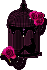 �����̏h�j